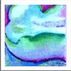 Feminine Landscape