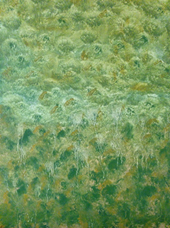 Seaweed, Feamainn